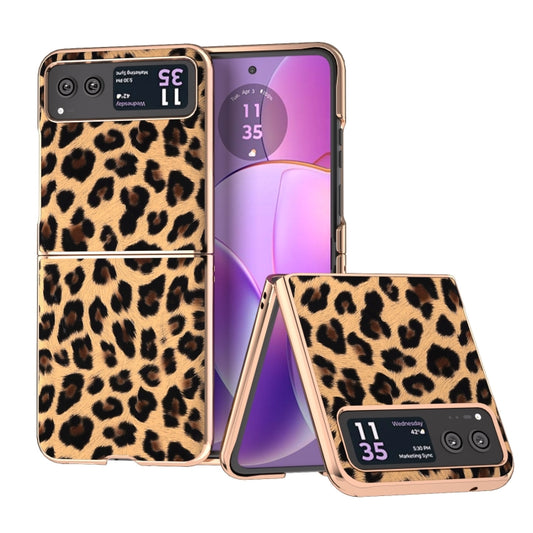 For Motorola Razr 40 Nano Plating Leopard Print Phone Case(Brown) - Motorola Cases by buy2fix | Online Shopping UK | buy2fix