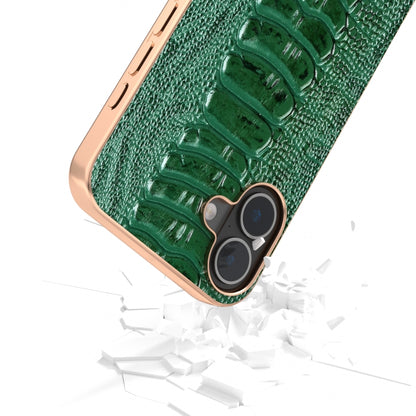 For iPhone 16 ABEEL Electroplating Frame Genuine Leather Weilai Series Phone Case(Green) - iPhone 16 Cases by buy2fix | Online Shopping UK | buy2fix