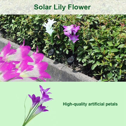 Simulated Lily Flower 4 Heads Solar Powered Outdoor IP55 Waterproof LED Decorative Lawn Lamp, White Light (Purple) - Solar Lights by buy2fix | Online Shopping UK | buy2fix