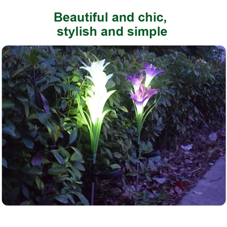 Simulated Lily Flower 4 Heads Solar Powered Outdoor IP55 Waterproof LED Decorative Lawn Lamp, White Light (Purple) - Solar Lights by buy2fix | Online Shopping UK | buy2fix