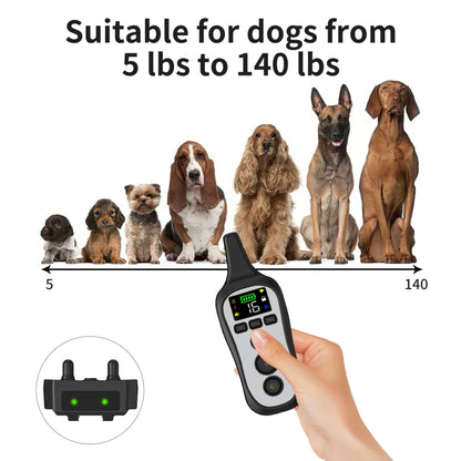 Tsattine T11 Dog Training Device Anti-Bark Waterproof Pet Training Collar, One to One (Black White) - Training Aids by buy2fix | Online Shopping UK | buy2fix