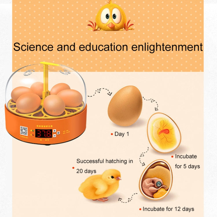 6-Eggs Small Household Experimental Children Smart Chicken Incubators, Spec: Automatic AU Plug - Incubators by buy2fix | Online Shopping UK | buy2fix