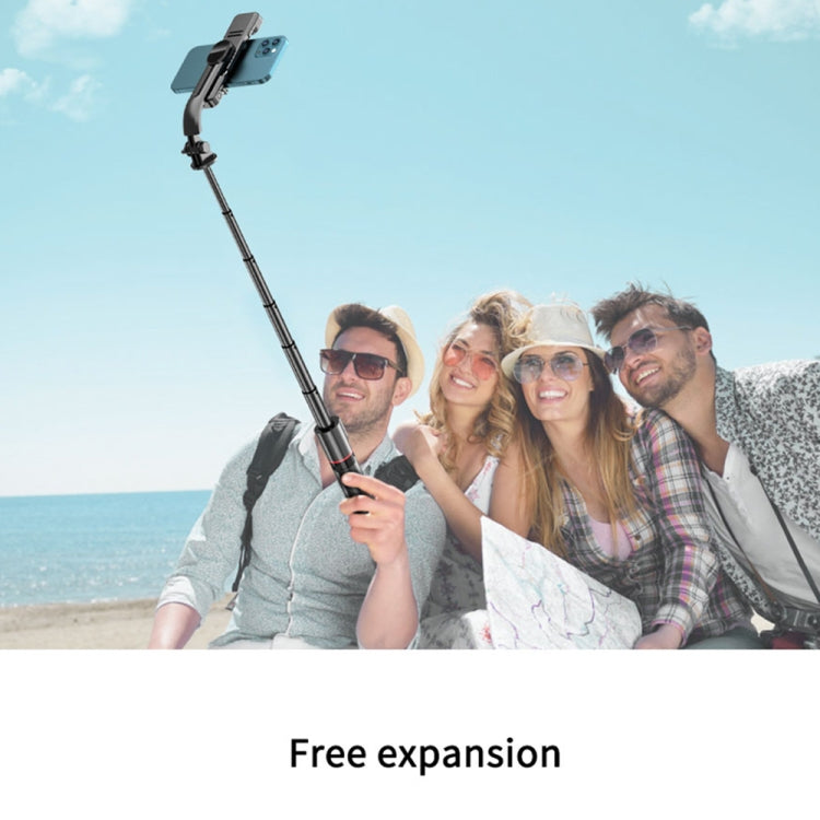 L12D Bluetooth Remote Control Detachable Fill Light Tripod Selfie Stick Phone Holder - Consumer Electronics by buy2fix | Online Shopping UK | buy2fix