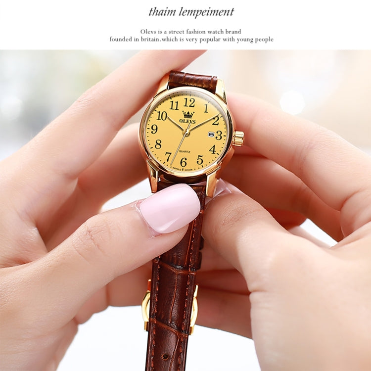 OLEVS 5566 Women Simple Single Calendar Waterproof Quartz Watch(Gold) - Leather Strap Watches by OLEVS | Online Shopping UK | buy2fix