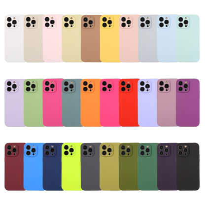 For iPhone 15 Pro Max Pure Color Liquid Silicone Fine Pore Phone Case(Pitaya) - iPhone 15 Pro Max Cases by buy2fix | Online Shopping UK | buy2fix