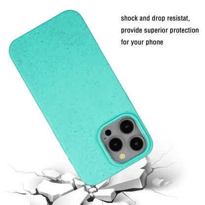 For iPhone 15 Pro Max Wheat MagSafe Magnetic Straw Material + TPU Phone Case(Green) - iPhone 15 Pro Max Cases by buy2fix | Online Shopping UK | buy2fix