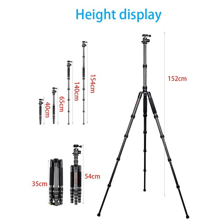 BEXIN BX255C K30 Portable Carbon Fiber Tripod for Camera Dslr - Camera Accessories by BEXIN | Online Shopping UK | buy2fix