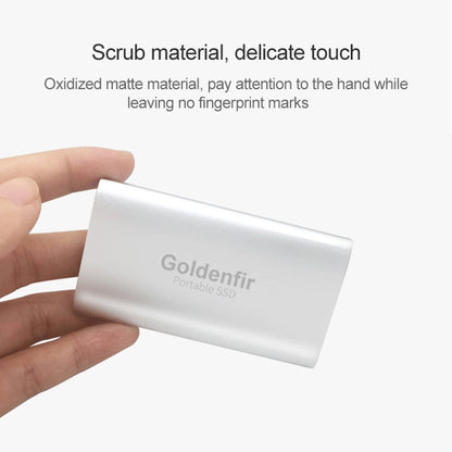 Goldenfir NGFF to Micro USB 3.0 Portable Solid State Drive, Capacity: 256GB(Silver) - External Solid State Drives by Goldenfir | Online Shopping UK | buy2fix