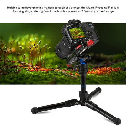 PULUZ Macro Focusing Rail Slider Close-up Shooting Tripod Head Quick Release Plate Holder - Quick Release Plate by PULUZ | Online Shopping UK | buy2fix