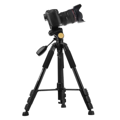 Q111 4-Section Folding Legs Live Broadcast Aluminum Alloy Tripod Mount with Three-dimensional Damping Tripod Heads(Black) - Camera Accessories by buy2fix | Online Shopping UK | buy2fix