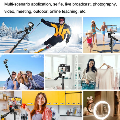 APEXEL APL-JJ070 Outdoor Phone Live With Yundai SLR Portable Landing Selfie Rod Tripod(Black) - Consumer Electronics by APEXEL | Online Shopping UK | buy2fix